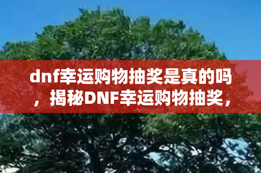 dnf幸运购物抽奖是真的吗，揭秘DNF幸运购物抽奖，一场充满惊喜的冒险之旅