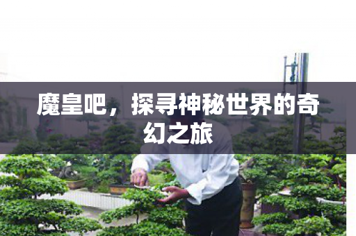 魔皇吧，探寻神秘世界的奇幻之旅