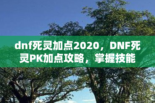 dnf死灵加点2020，DNF死灵PK加点攻略，掌握技能分配，成为决斗高手