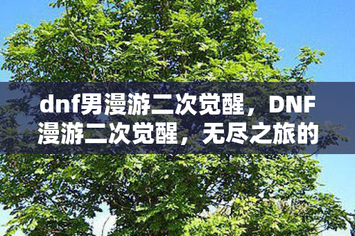 dnf男漫游二次觉醒，DNF漫游二次觉醒，无尽之旅的新篇章