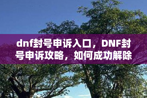 dnf封号申诉入口，DNF封号申诉攻略，如何成功解除账号封禁？