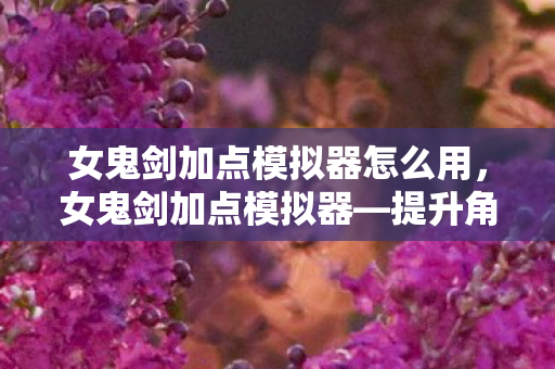 女鬼剑加点模拟器怎么用，女鬼剑加点模拟器—提升角色实力的关键所在