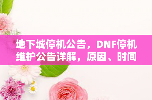 地下城停机公告，DNF停机维护公告详解，原因、时间、补偿及注意事项