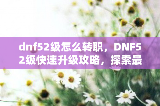 dnf52级怎么转职，DNF52级快速升级攻略，探索最佳升级区域与策略