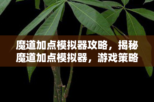 魔道加点模拟器攻略，揭秘魔道加点模拟器，游戏策略与角色成长的关键