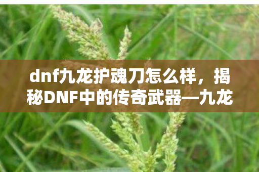 dnf九龙护魂刀怎么样，揭秘DNF中的传奇武器—九龙护魂刀
