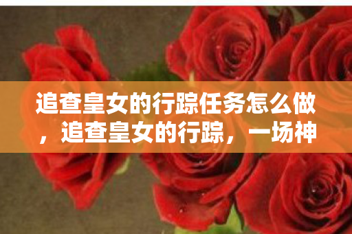 追查皇女的行踪任务怎么做，追查皇女的行踪，一场神秘的任务之旅