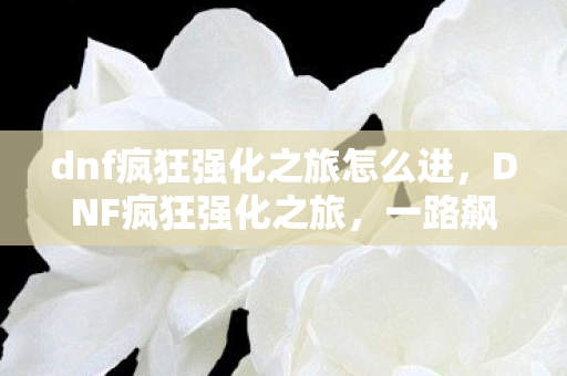 dnf疯狂强化之旅怎么进，DNF疯狂强化之旅，一路飙升的装备战力提升攻略